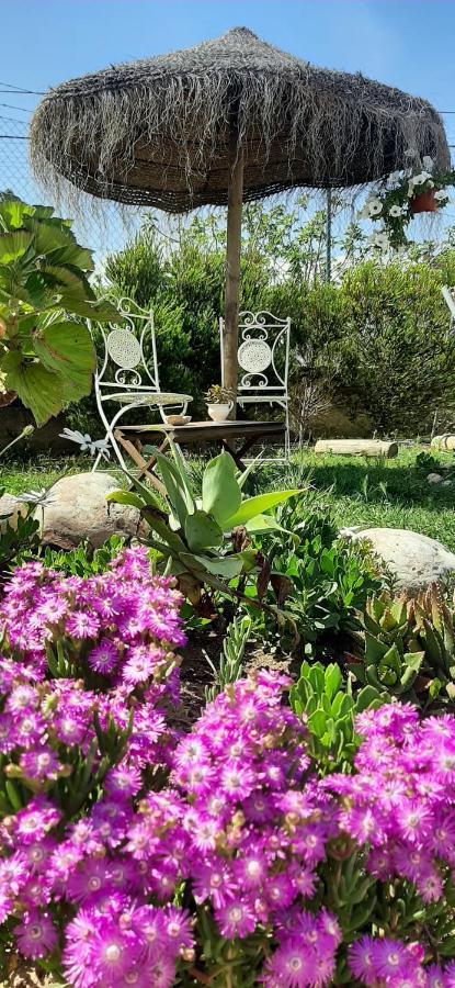 Blacksheep Sagres Guesthouse & Surf Экстерьер фото